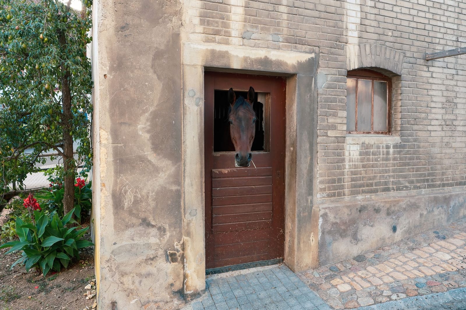 Riding Schools & Equestrian Centres